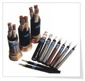 ʯ������Ȼ���ÿ��ƹܾ�